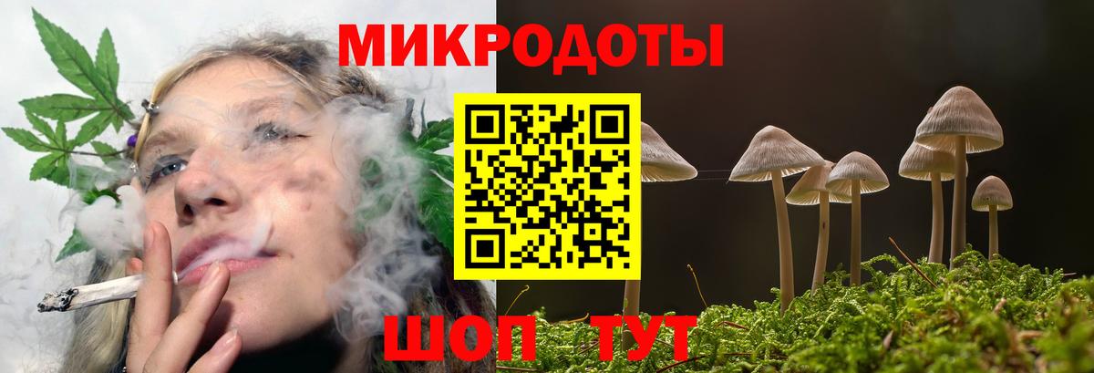 Наро-Фоминск  Псилоцибиновые грибы Psilocybe  Вход с VPN 